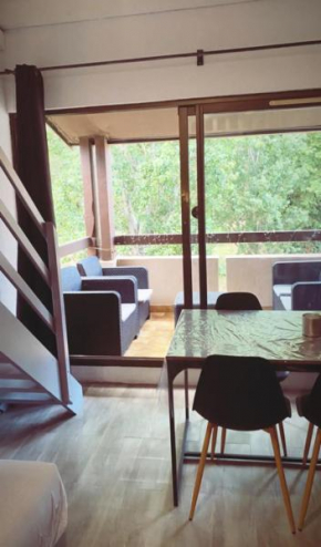 Appartement avec grande terrasse